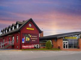 提摩雅斯酒店，位于Ringaudai的酒店