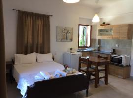 Studios Zina，位于卡拉内拉的酒店