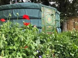 Mill Stream Yurt