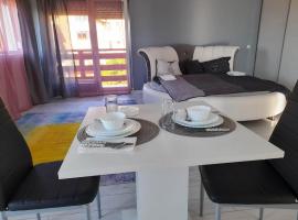Studio Marcela - Baile 1 Mai，位于Haieu的酒店