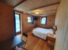 HOTEL Chalet Val Di Rabbi，位于拉比的酒店