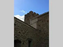 Le Petit Ormeau attenant à la Tour du Portail Neuf