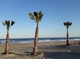 Maison au calme de la pinède, piscine, plage et farniente