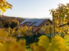 Weinberghaus am Burgstallkogel，位于莱布尼茨的酒店