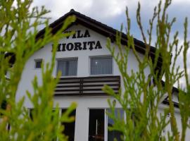 Vila Miorita，位于赛比什的度假短租房