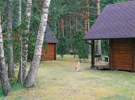 Niidupuu Camping