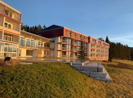 Hotel Saigerhöh Wellness Spa Golf Wandern über dem Titisee，位于伦茨基希的酒店