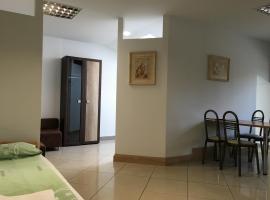 Apartamenty w Młynie，位于戈斯蒂宁的酒店