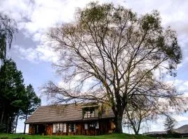 The Log Cabin at Elgin