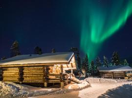 Arctic Log Cabins，位于萨利色尔卡的木屋