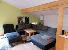 Mosenbauer Ferienwohnung Salzburg公寓 ，位于米特西尔的酒店