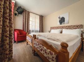 Bed and breakfast Stella Alpina，位于萨奥兹-杜尔克斯的酒店