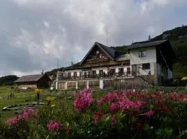 Gjaid-Alm 1739m am Dachstein-Only Accessible by Cable Car