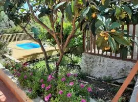 Carrubo - Giardino in città