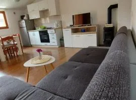 Apartment Alex