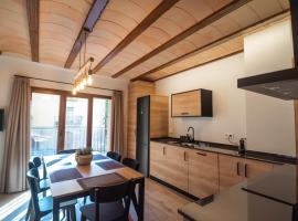 Cal Negret Rural Apartments，位于Alós de Balaguer的酒店