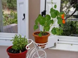 Andros Lighthouse Apartments