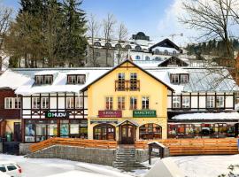 爱丽卡酒店，位于什平德莱鲁夫姆林的酒店