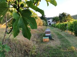 Naturaliterre BnB - Microfattoria，位于Dovadola的酒店