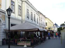 马格达莱纳公寓