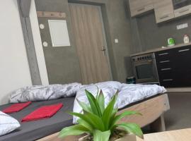 Apartmány V ráji，位于Žďár的酒店