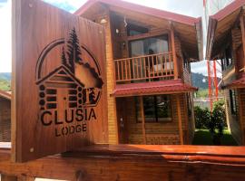 Clusia Lodge，位于Copey的酒店