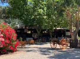 Location du Ranch Cantarettu