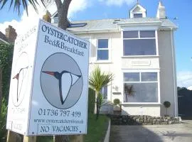 Oystercatcher