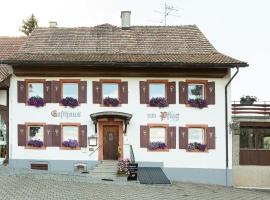 Hotel Landgasthof zum Pflug，位于Steinen的酒店