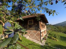 Ethno Village Bogut，位于Bogutovac博古托瓦茨温泉浴场附近的酒店