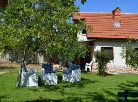 Macedonia, Accommodations,rentals"Villa Vevcani" Vevchani