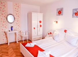 Pensiunea Vila Silva I，位于哈采格的带泳池的酒店