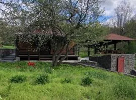 Будинок для відпочинку в лісі