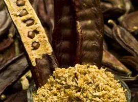 Holiday Home (139-3)