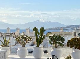 Elaia Luxury Suites Mykonos，位于米克诺斯城的别墅