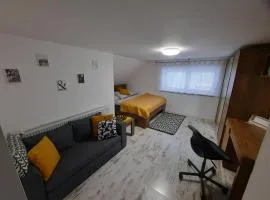 Penzion U zlaté collie