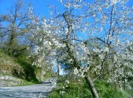 B&B Casa Rosella - Country house