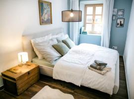 Apartment Aussee- Beletage Salzherrenhof- Küche, WLAN, Netflix，位于巴特奥塞的酒店