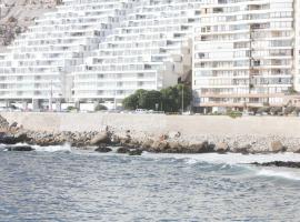 Resetéate frente al Mar!! Disfruta en primera línea de Cochoa-Reñaca，位于维纳德马Cochoa Beach附近的酒店
