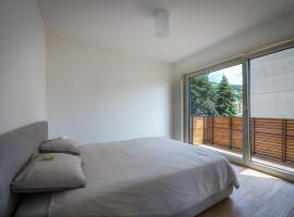 Modern apartment in Lugano，位于卢加诺的度假短租房