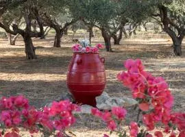 Xirouchakis farm