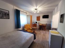 Apartament Ogrodowa，位于弗龙堡的酒店