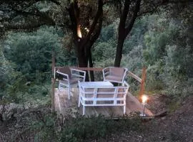 Gîtes chez Daniel "Cevennes 2"