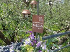 B&B ForseSiForseNo，位于苏尔扎诺的酒店