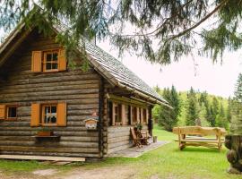 Wood house Irena-Počitniška hiša，位于博希尼的别墅