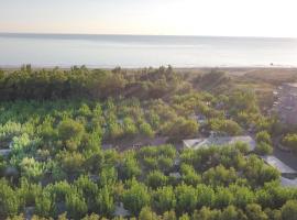 杨树林露营及公寓酒店，位于瓦斯托的酒店