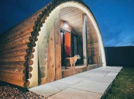 Volcano Cabins，位于阿卡莱克的公寓