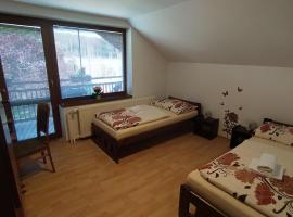 Apartmán U Špýcharu，位于Bílé Poličany的酒店
