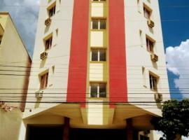 Binder Hotel Mogi Guacu，位于莫吉瓜苏的酒店