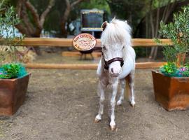 The Pony Experience; Glamping with Private Petting Zoo，位于蒂梅丘拉的豪华帐篷营地